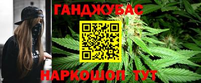 прущие крисы Гай