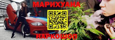 прущие крисы Гай