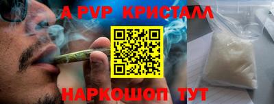 прущие крисы Гай